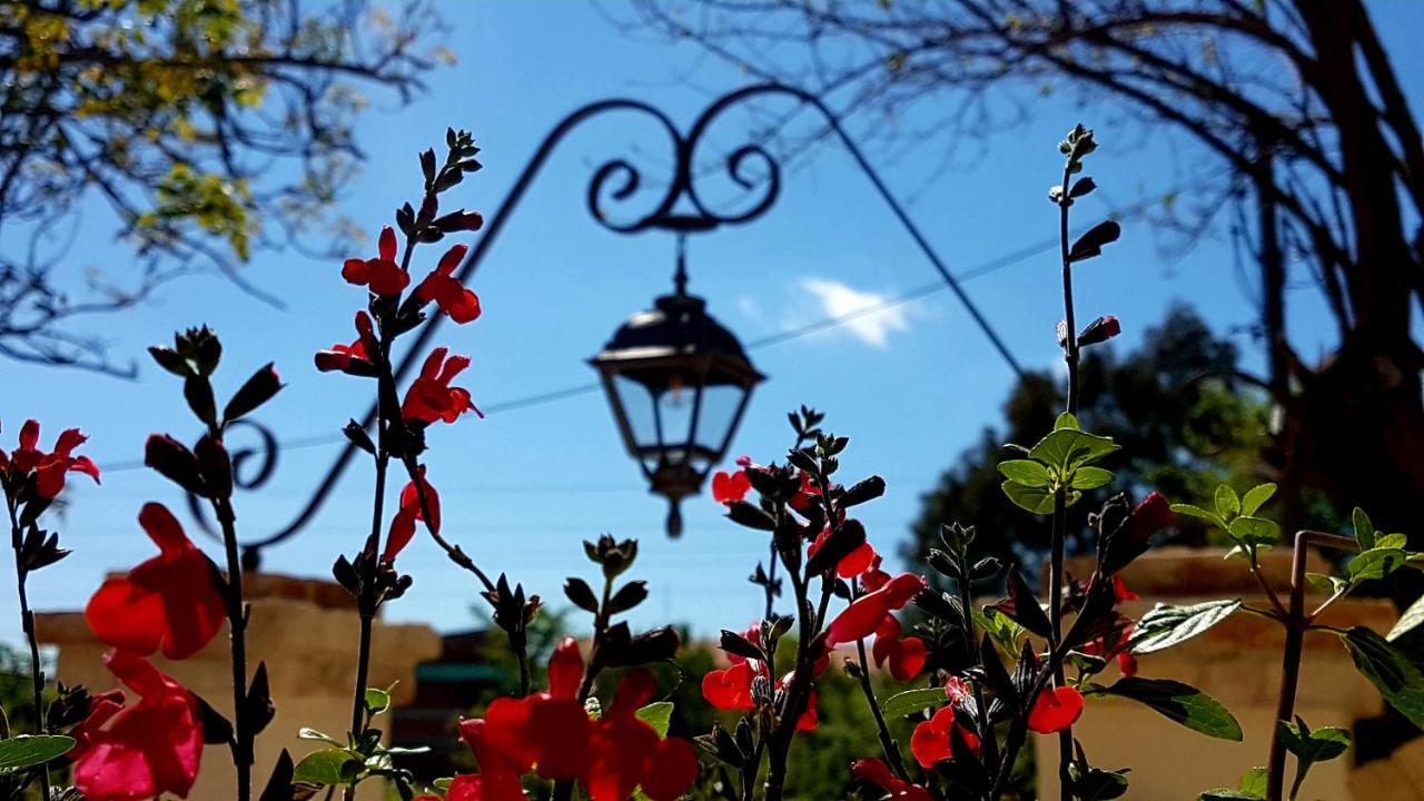 Corfu Carpofoli Corfu公寓 外观 照片